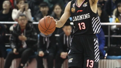 辽篮热血战纪：从群星闪耀到登顶之巅