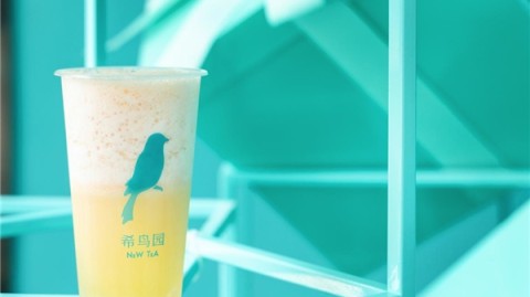 搜“后的品牌怎么样”总凌乱？一篇文章理清谁是真“天后”