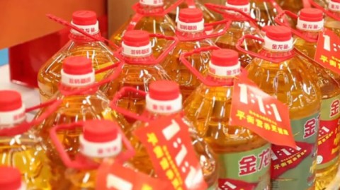 家里那桶金龙鱼调和油怎么样？黄渤朱广权替我们探了厂，我把大实话都撂这儿了