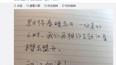 别让灵感溜走！用手写整理碎片信息，给你的大脑减减负
