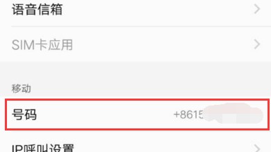 手机号儿咋查？这几招儿靠谱又省心！