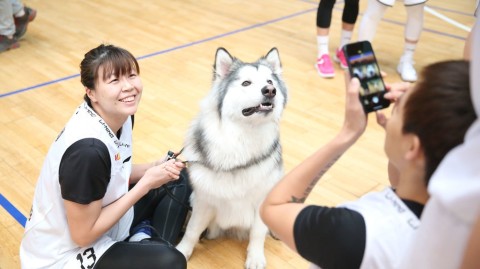 金兰携瑞犬，京城展英姿：北京女篮新春写真定格柔情与霸气