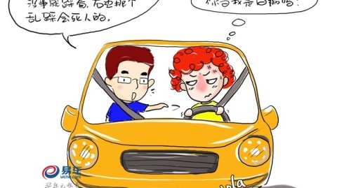 手握方向盘的日子：当司机到底怎么样？