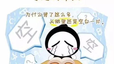 别只埋头背！聪明人这样整理“不背单词”，效率翻倍还不累