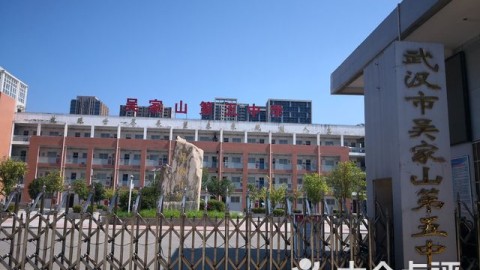 别再瞎忙了！揭秘“5中”整理法，让你的内容从杂乱到惊艳