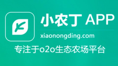 移动公司待遇怎么样？老员工揭秘真实薪资与福利