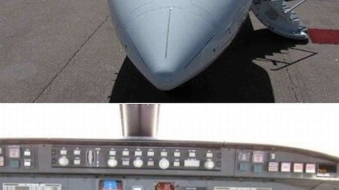 小鸟撞大飞机，小小身躯怎就成了“空中炮弹”？