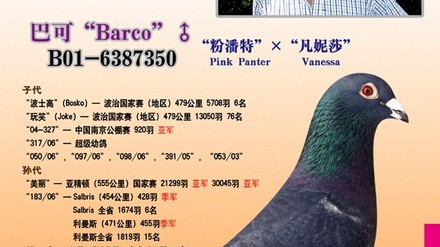 巴可到底怎么样？从会议室到光影秀，这家比利时老牌企业的硬核实力藏不住了