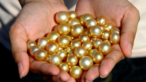珍珠里的“黄金”：菲律宾金珠为啥这么让人着迷？